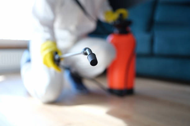 Best Commercial Mold Inspection  in Montpelier, VT